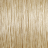 Blond #613
